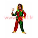 Costume de Fou du roi (E)
