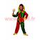 Costume de Fou du roi (E)