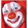 Nez de Clown (sachet de 6)(plastique)