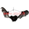 Chauve-souris 110cm 