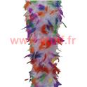 Boa en plumes 2 tons blanc et multicolore