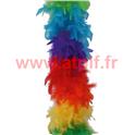 Boa en plumes 2 tons multicolore