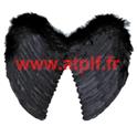 Ailes d'ange noire 44 x 38cms (plumes)