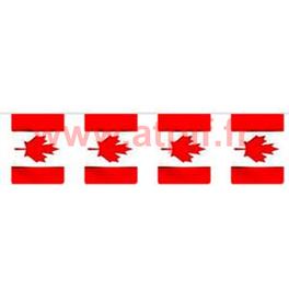 Guirlande plastique rectangulaire Canada 5m