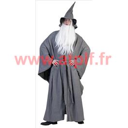 Déguisement Gandalf, Merlin L'enchanteur (H)(T.U)