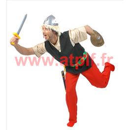 Costume d' Astérix (H) Costume d' Astérix (H)