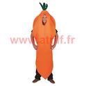 Déguisement de Carotte, Légumes,