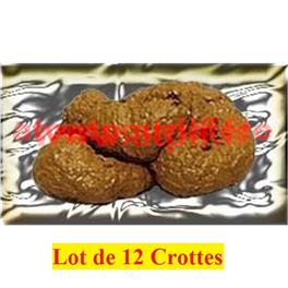 Lot de 12 Crottes de chien en plastique