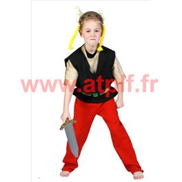 Costume d' Astérix (E)