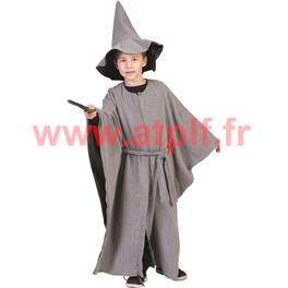 Déguisement Gandalf, Merlin L'enchanteur (adulte)(T.U)