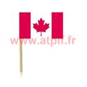 blister de 50 Mini drapeaux Canada - F1 3 x 5cm