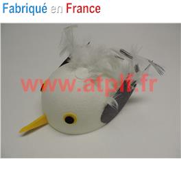 Chapeau de Mouette (Coiffe de) Chapeau de Mouette (Coiffe de)