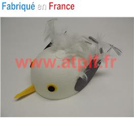 Chapeau de Mouette (Coiffe de)