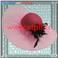 Capeline en Tulle (tulle)