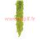 Boa en plume 60gr Vert Tilleul