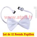 LOT A PRIX PRO: 12 Noeuds Papillon blanc