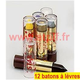 Boite de 12 tubes Baton à lèvres couleur