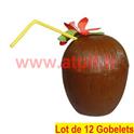 LOT A PRIX PRO: 12 Gobelets Noix de coco avec paille