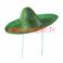 Sombrero Couleur bordé (48cms)