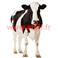 FIGURINE GÉANTE CARTON  Vache 152cm