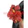 Barrette Pince à cheveux Hawaienne à fleur d'Hibiscus