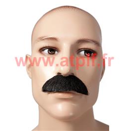 Moustache de Dupont-Dupond