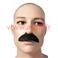Moustache de Dupont-Dupond