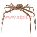 Araign&eacute;e Marron G&eacute;ante  90cms