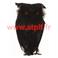 Hibou noir de décoration Halloween 28cm