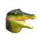 Masque de Crocodile (integral)(latex)