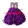 Pompon violet de Pompom girl