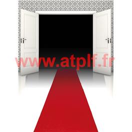 Tapis Festival de Cannes, Cinéma Hollywood, Star, Show biz, 450x60cms