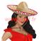 Sombrero mexicain Couleur bordé (52cms)