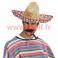 Sombrero mexicain Couleur bordé (52cms)