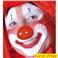 Nez de Clown (sachet de 24)(plastique)