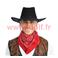 Chapeau Cow boy suédine