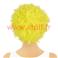 Perruque pop couleur adulte