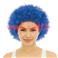 Perruque courte fris&eacute;e  pour d&eacute;guisement de clown 