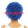 Perruque courte fris&eacute;e  pour d&eacute;guisement de clown 