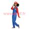 D&eacute;guisement de Mario 