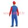 D&eacute;guisement de Mario 
