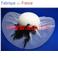 Capeline en Tulle (tulle)