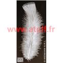 Plumes Blanches 10cms (palette de dinde) (sachet de 50)